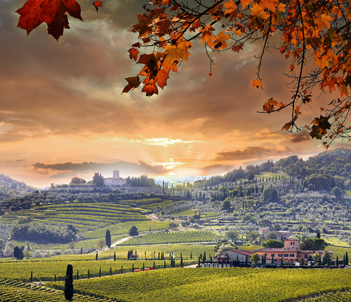 Chianti vineyard landscape in Tuscany, Italy